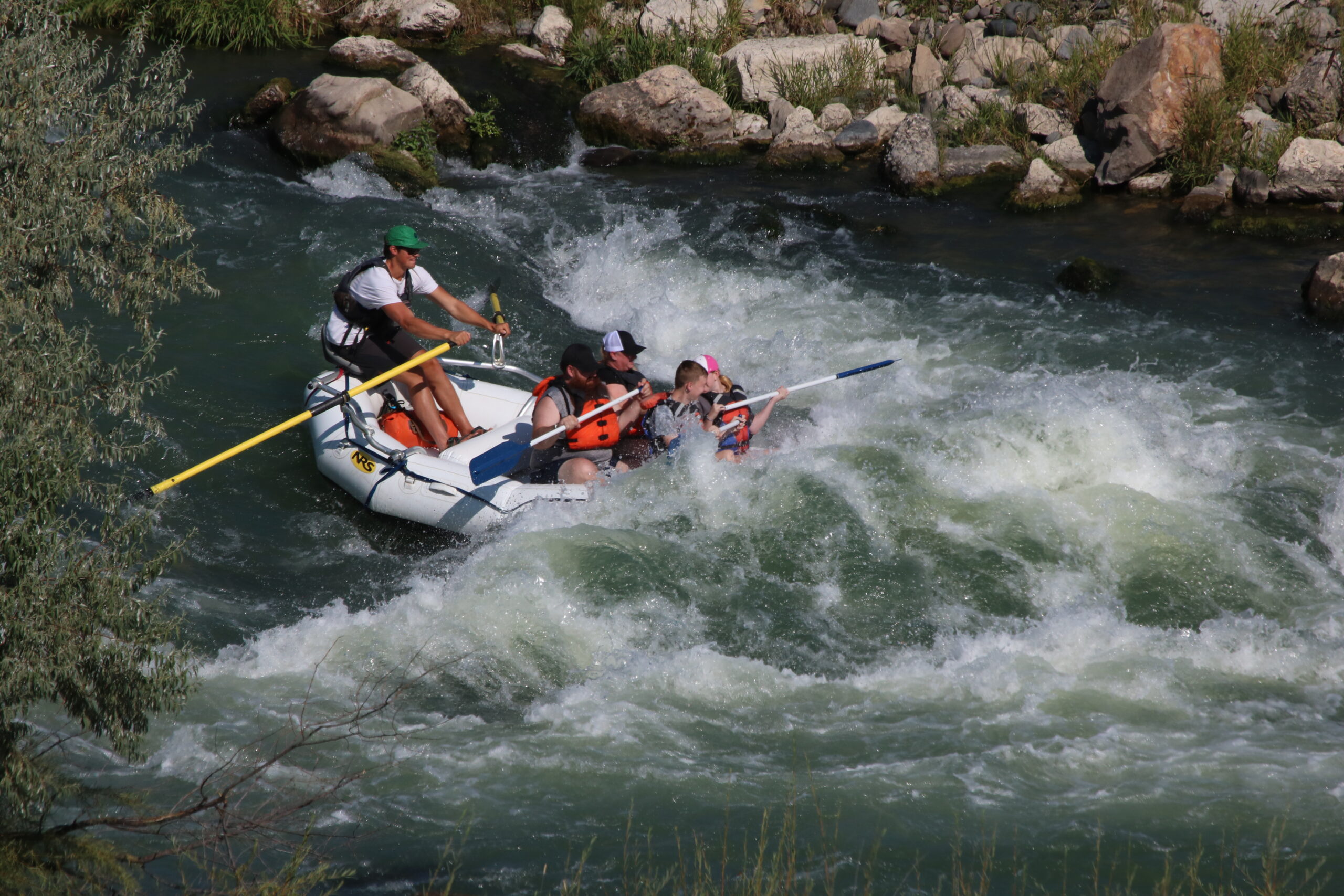 Wyoming River Trips guide Duncan takes guests through some exciting whitewater on the shoshone river in Cody Wyoming on our lower canyon quick and easy rafting trip.