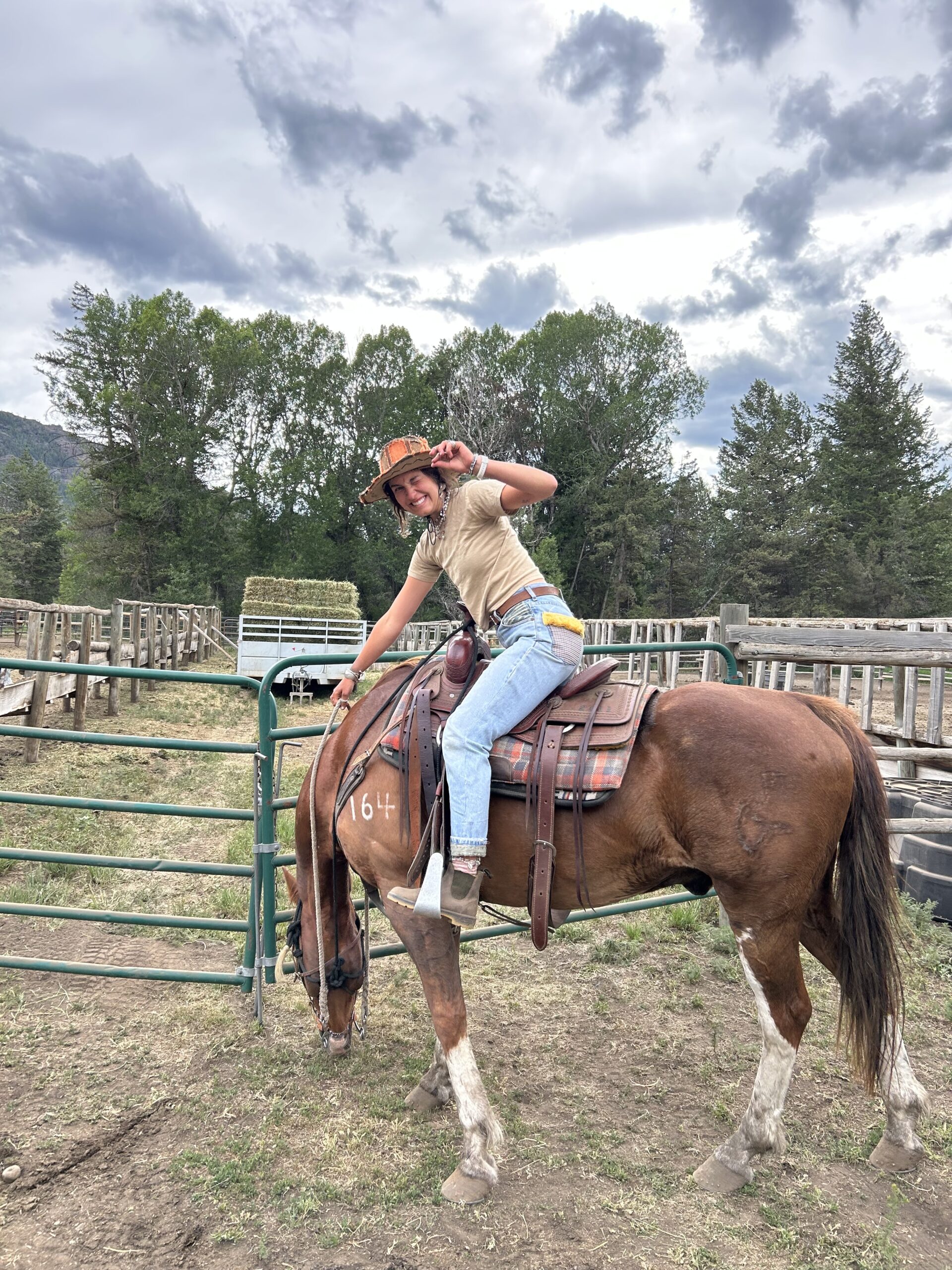 Horseback riding in Cody Wyoming on a 2 day rafting trip with Wyoming River Trips.